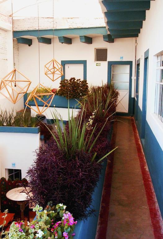 Blue Bicycle House Hostel *